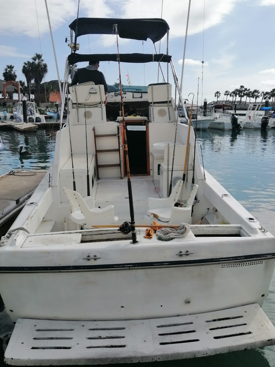 32ft Tiara Puerto Los Cabos